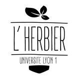 Herbier