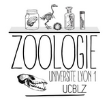Zoologie