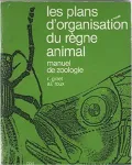 vignette